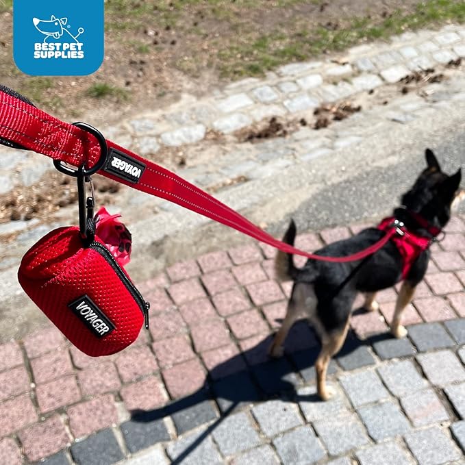 Best Pet Supplies 2-Pack Dog Poop Bag Holder Leash Attachment, Color, Reusable Mesh Dispenser Pouch for Travel, Walking, Park, and Outdoor Use, Soft and Durable with Clip-On - Mesh Purple