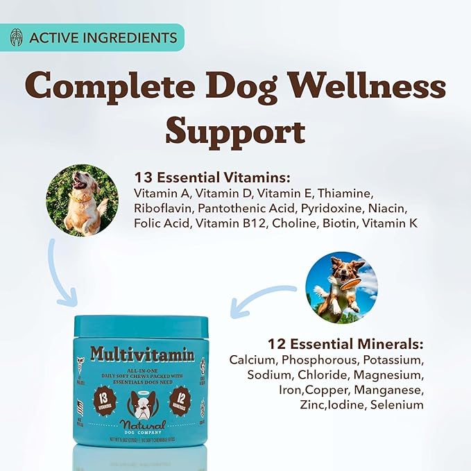 Natural Dog Company 25-in-1 Multivitamin Chews for Dogs – Daily Soft Dog Vitamins with Antioxidants, Zinc & Folic Acid – Supports Joints, Skin & Coat, Immune & Heart Health – All Ages, All Breeds