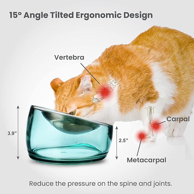 Felli Oblik Elevated Cat Food Bowls 304 Stainless Steel Removable Flat Dish for Whisker Fatigue & Dishwasher Easy Clean, Raised 15° Tilted Stand Non Slip, Wide Metal Plate Anti Vomit (0.5Cup, Classic)