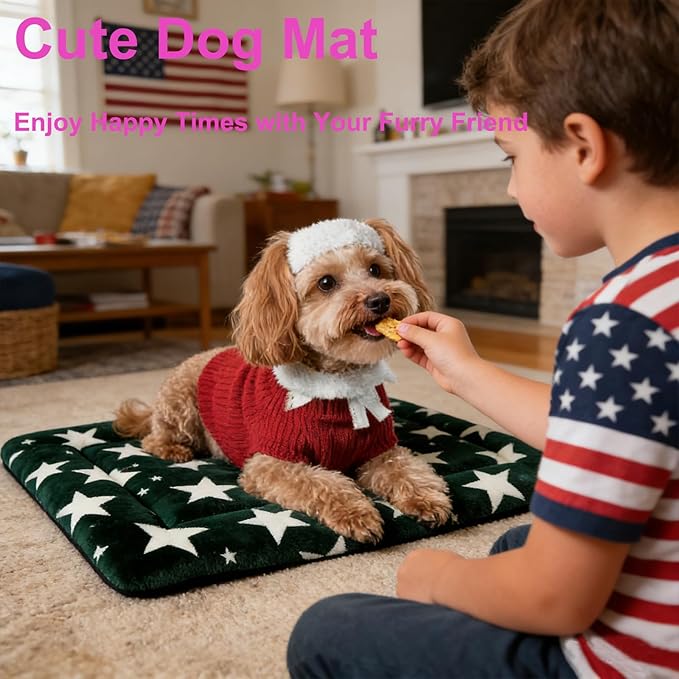 Fogkiss Dog Bed Mat, Reversible Dog Crate Pad with Washable Kennel Mat and Soft Foam, Pet Bed for Dogs & Cats, for Crates Carriers & Travel (Big&Small Stars Green, 24" L*18" W*1.5" Th)