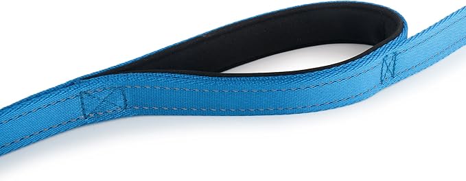Primal Pet Gear Dog Leash 6ft Long,Traffic Padded Two Handle,Heavy Duty,Reflective Double Handles Lead for Control Safety Training,Leashes for Large Dogs or Medium Dogs,Dual Handles Leads(Blue)