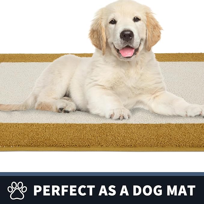 PURRUGS Dirt Trapping Door Mat 24" x 60", Non-Slip Machine Washable Entry Rug, Entrance Mat, Indoor Front Door Mat, Super Absorbent Entryway Rug for Muddy Shoes & Paws, Light Cream & Gold