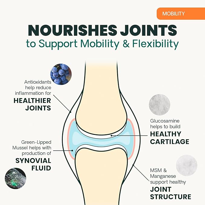 VetriScience GlycoFlex Ultimate Strength Healthy Hip & Joint Glucosamine Supplements for Dogs, with MSM, Chondroitin & Green-Lipped Mussel, Soft Chews, Bacon, 120 Count - New Look