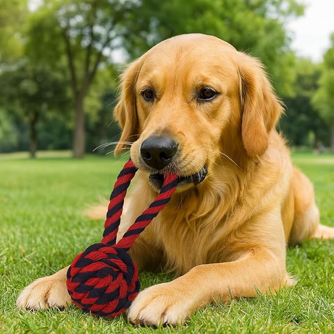 Dog Rope Toys for Medium and Large Dogs | Strong Cotton Pet Rope Set for Chewing, Teething Comfort, Tug Play and Daily Interactive Use | (3 pcs Dog Toys Combo)
