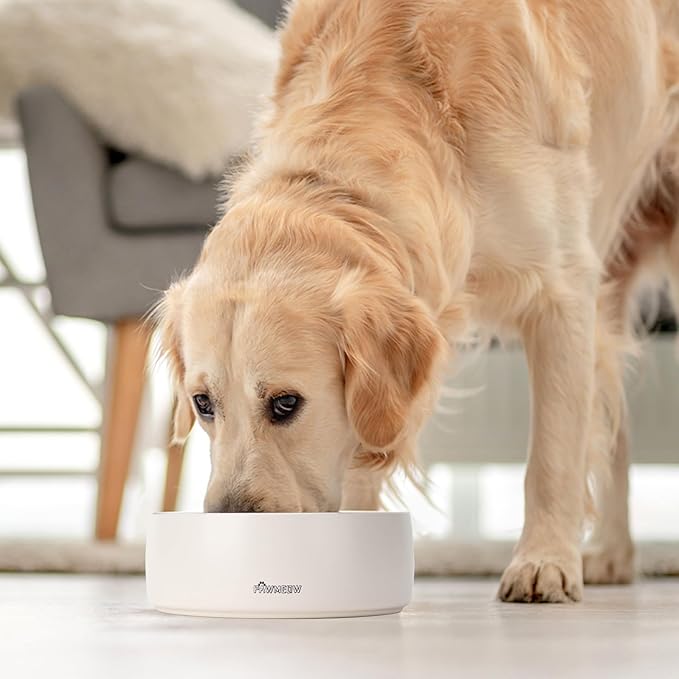 Ceramic Dog Bowl - 2 Piece Modern Pet Feeding Bowl, Spill Resistant, Heavy Duty for Small & Large Dogs (Beige, 5.5-8inch)