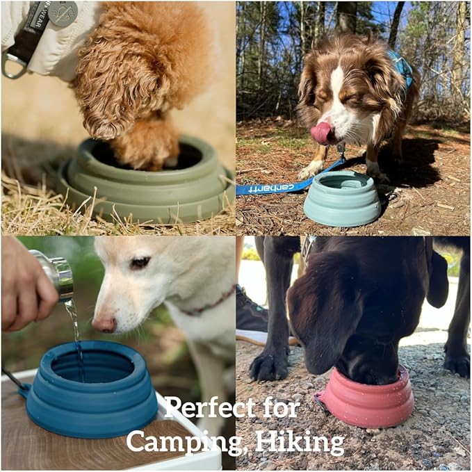 OHMO Spill Proof Collapsible Dog Water Bowl 24oz for Cars, No Splash Portable Bowls for Dog Travel, Pet Essentials for Road Trips, Cat Travel Accessories