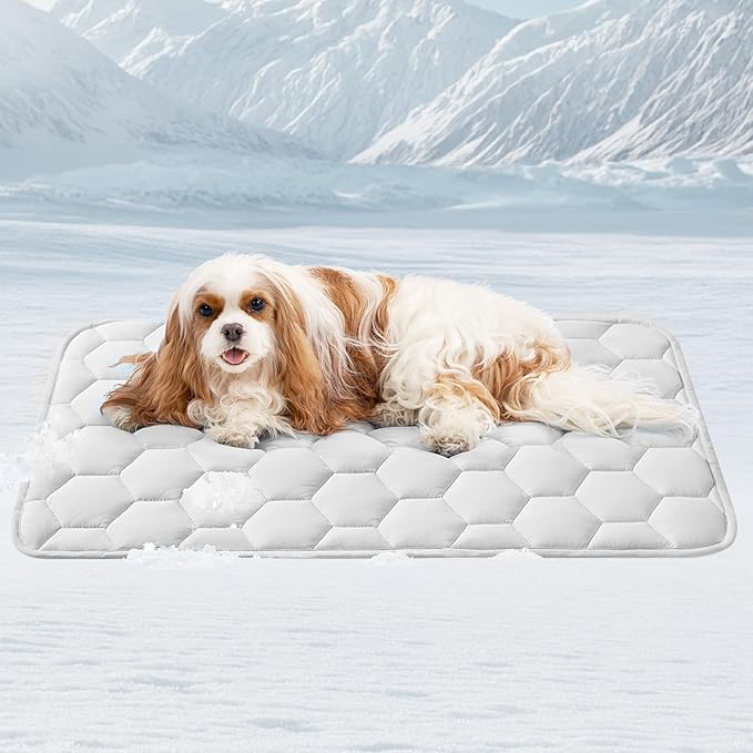EHEYCIGA Cooling Mat for Dogs(Q-Max>0.53), Washable Dog Cooling Mat, Portable Kennel Cooling Pet Pad for Summer, Non-Slip Summer Crate Pad for Large Dog, Grey, 35x23