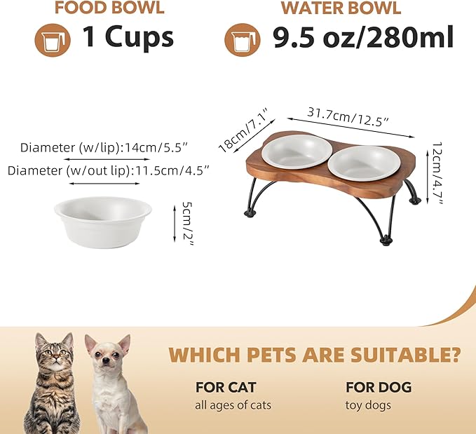 Ceramic 5.5-inch Raised Double-Bowl Set with Non-Slip Stand, 1 Cup Food or 9.5oz Water Dishes for Puppies and Cats, Wide Opening with Rounded Edges(Matt White)