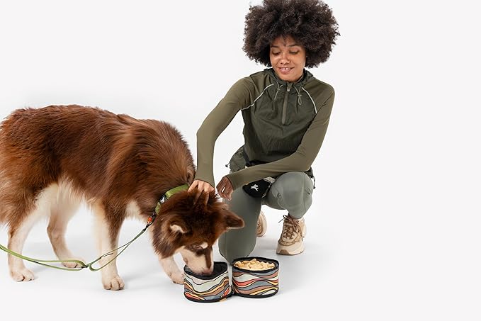 OllyDog Superbowl | Collapsible Dog Travel Bowl | 2 Compartment Food & Water | Foldable| Portable Dog Bowl | Hiking, Camping (Ventura '73)