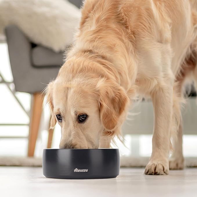 Ceramic Dog Bowls, 2 Large Spill Resistant Modern Pet Feeding Bowls for Small & Large Dogs (Black, 5.5+8Inch)