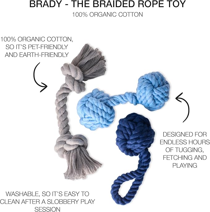 Pet Passion Brady The Rope Tug Toy 3-Pack Organic Cotton Dog Rope Pull Toys for All Pet Breeds, Blue Ombre, One Size