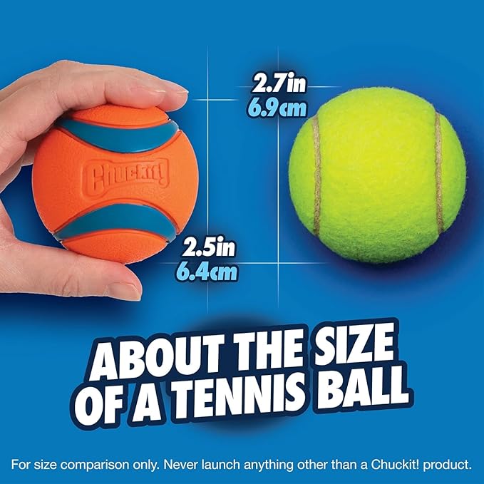 Chuckit! Ultra Ball Dog Toy - Medium Bouncy Fetch Balls for Dogs 20-60 lbs - Made from Durable Rubber - Floating Water Pet Toys - Size Medium - 2.5-inch Diameter - Pack of 12