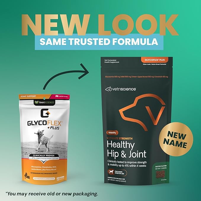 VetriScience GlycoFlex Ultimate Strength Healthy Hip & Joint Glucosamine Supplements for Dogs, with MSM, Chondroitin & Green-Lipped Mussel, Soft Chews, Bacon, 120 Count - New Look