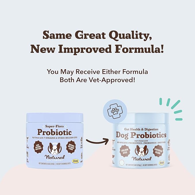 Natural Dog Company Gut Health & Canine Specific Probiotics Chews, 1 Daily Chew for All Dogs, Prebiotics & Digestive Enzymes for Digestion, Gas, Loose Stool, Immune System & Bowel Support
