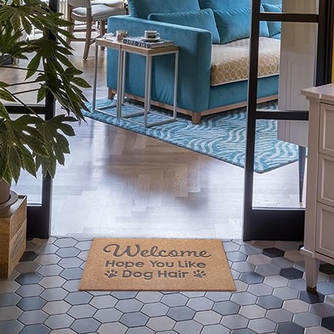 Indoor Doormat, Dog Hair Mat Standard Welcome Front Door Entryway Mats, Funny Door Mat, Durable Non Slip Rubber Dirt Entrance Mats, Funny Brown 28" x 18"