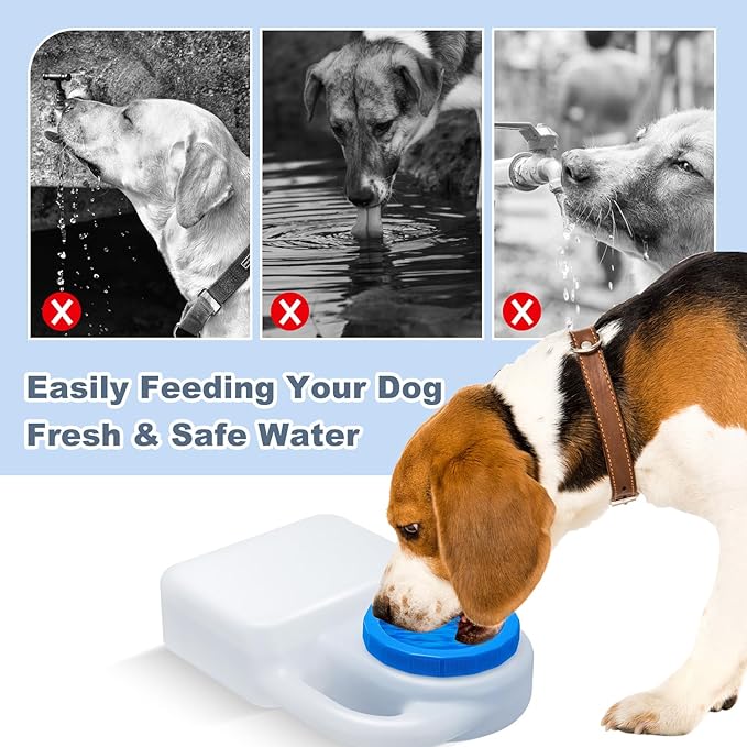 Ziliny 2 Pcs 3 Quart No Spill Portable Dog Travel Water Bowl Pet Water Bowl for Pet Dispenser for Small Large Dogs Cats Camping Hiking Trips Car RV Boat Road Mess-Free Design