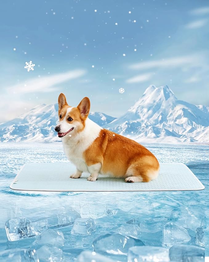 TIMSUNBER Dog Cooling Mat - Instant Cooling Pet Bed for Dogs & Cats, 6-12°F Drop, Non-Toxic & Machine Washable, Anti-Slip Bottom, Cool Mat for Indoor & Travel Use Light Blue 36" x 24"