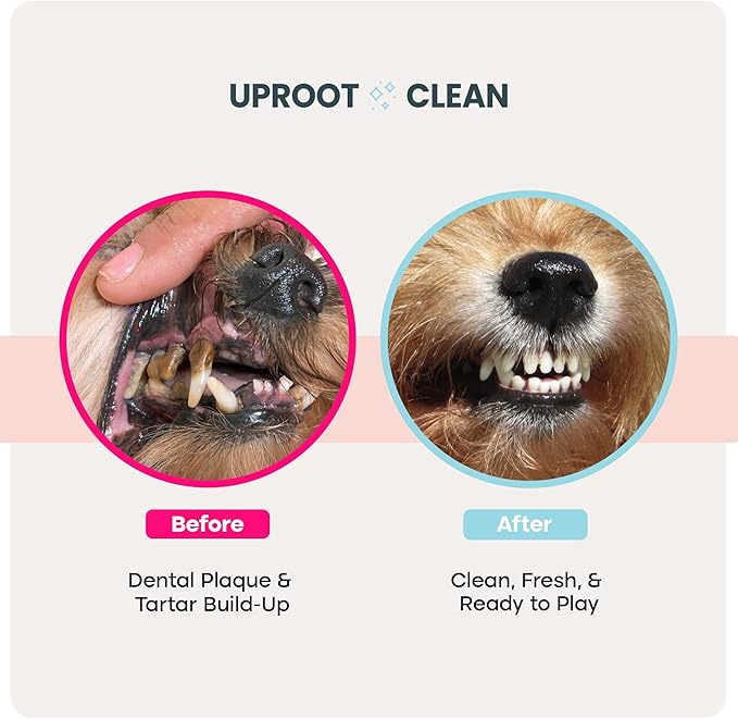 Uproot Clean Pet Dental Finger Wipes for Dogs & Cats (50ct.): Easy & Effective Cat and Dog Teeth Cleaning Wipes - Dog Dental Tissues for Plaque, Tartar, & Bad Breath - Safe, Rinse-Free, Disposable