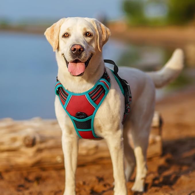 rabbitgoo Dog Harness No Pull with 2 Leash Clips, Adjustable Soft Padded, Reflective Oxford No Choke Pet Vest with Easy Control Handle for Medium Sized Dogs, Red & Teal, M