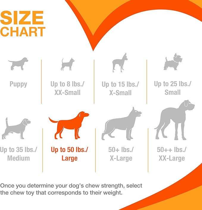 Nylabone Power Chew Toy Bundle, Cute Dog Toys for Aggressive Chewers, Bacon Glazed, Toasted Marshmallow, and Peanut Butter Flavors, Large Dogs - Up to 50 lbs, 3 Pack