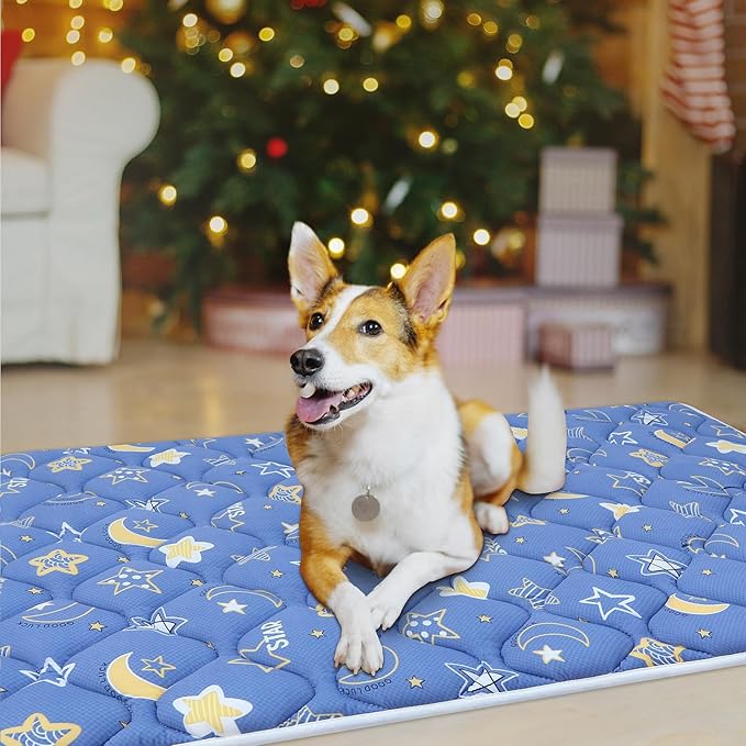 Bubble bear Dog Crate Mat - Ultra Soft, Washable & Anti-Slip Kennel Pad for Small/Medium/Large Dogs, Dark-Hued to Hide Stains (48"x30")