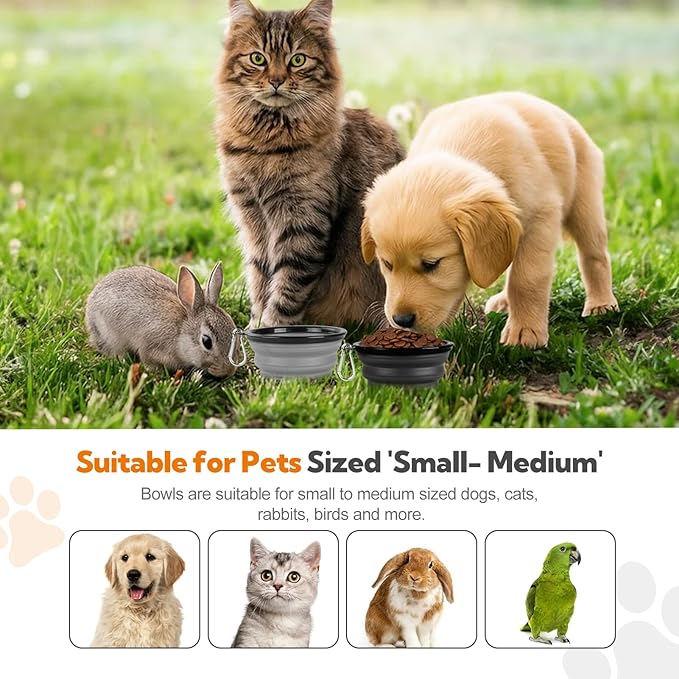 Dog Bowl Collapsible, 2 Pack Portable Foldable Travel Water Bowl Food Dishes with Carabiner Clip for Traveling, Hiking, Walking(12oz, Small, Grey+Black)