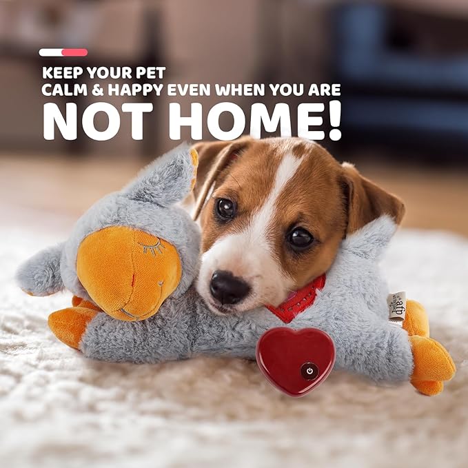 ALL FOR PAWS Heart Beat Dog Toy, Puppy Sleeping Buddy Cuddle Toy Dog Soothing Plush Toy, Crate Training Puppy Stuffed Animal Gift Toys for Your Furry Friend