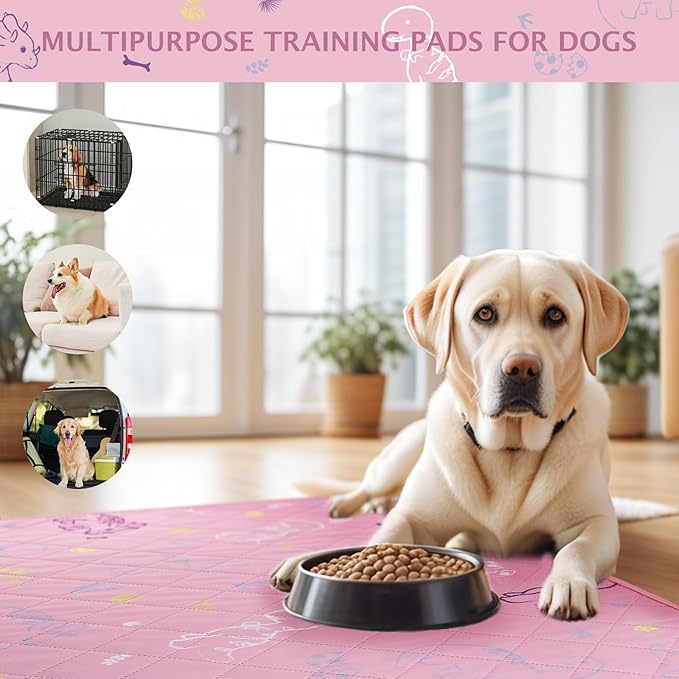 IEUUMLER Washable Pee Pads for Dogs, 2 Pack Non-Slip & Waterproof Whelping Pad, Reusable Puppy Potty Training With Fast Absorbent for Playpen EU007 (Pink Dinosaur, 31"X36"-2pcs)