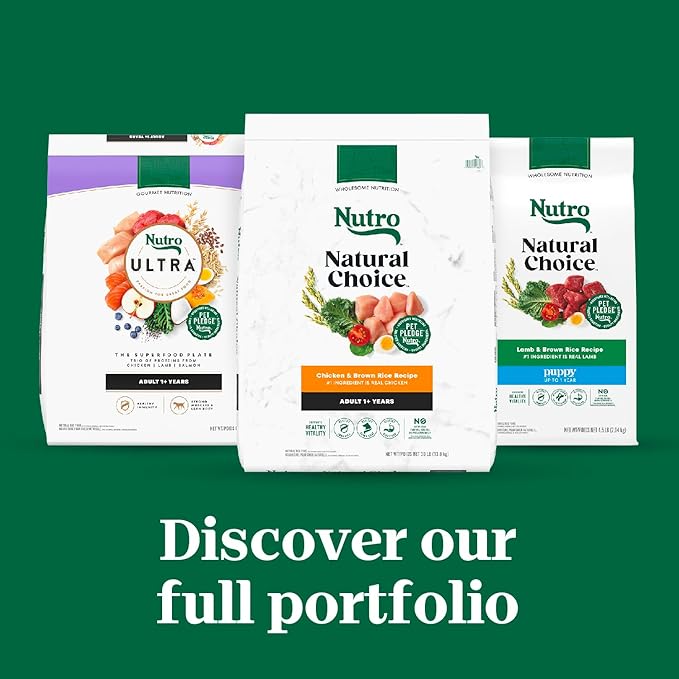 Nutro Natural Choice Small Bites Adult Dry Dog Food, Salmon and Brown Rice Recipe, 28 lbs.