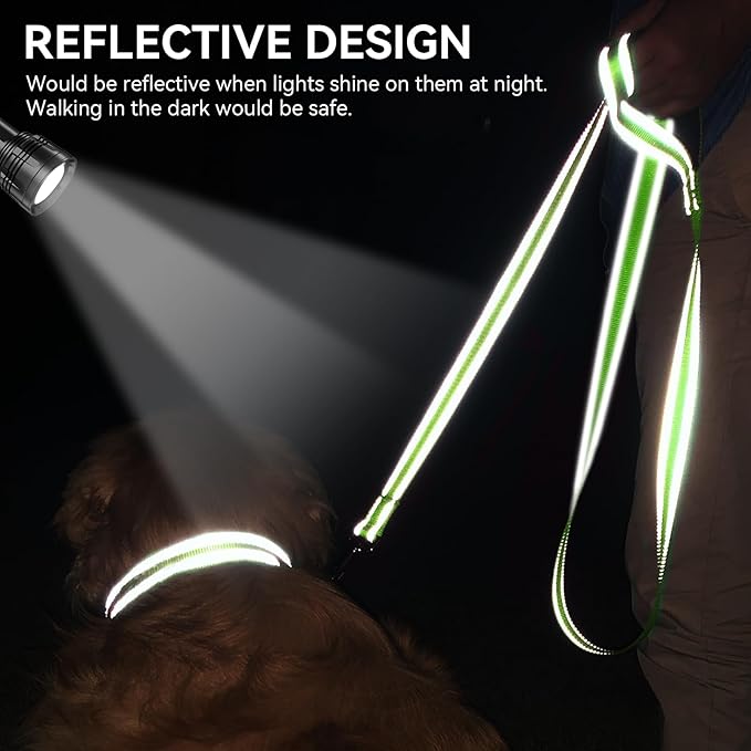 Joytale Dog Leash, 4 FT Double-Sided Reflective, Padded Handle Nylon Heavy Duty Leashes for Small Dogs Walking, Green