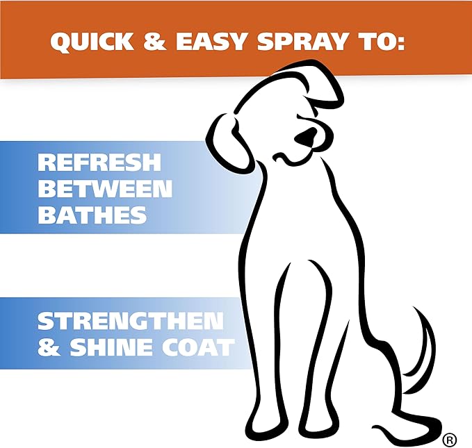 Wahl USA Cornflower Scented Pet Deodorant Spray for All Dogs & Cats – Clean Fresh Smell Refreshes & Deodorizes – 8 oz - Model 820009A