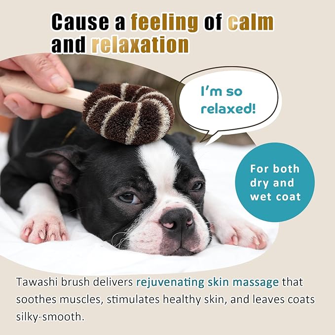 Dog Grooming Massage Tawashi Brush with Wood Handle Less Static Natural palm fiber Made in Japan (Small dog A)