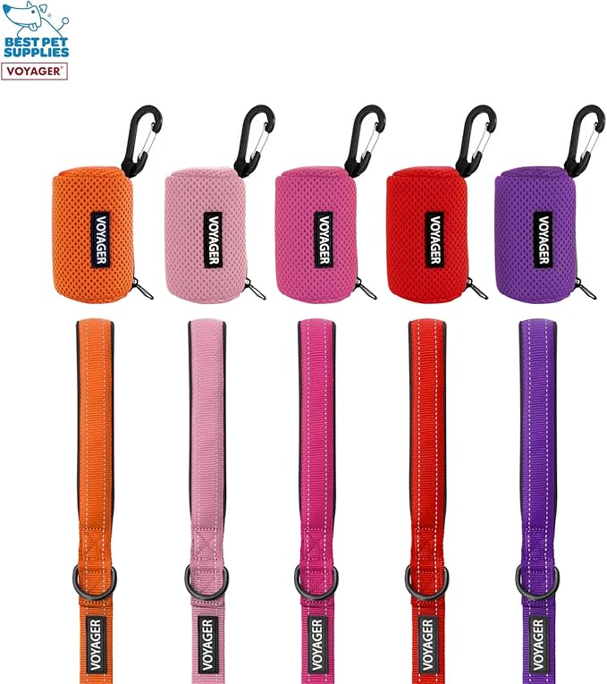 Best Pet Supplies 2-Pack Dog Poop Bag Holder Leash Attachment, Color, Reusable Mesh Dispenser Pouch for Travel, Walking, Park, and Outdoor Use, Soft and Durable with Clip-On - Mesh Orange