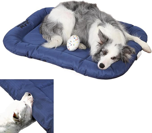 Durable Outdoor Dog Bed with Pillow Around Curling Sleep Fully Waterproof Indoor Cat Bed Crate Mat Stable Kennel Pad, for Pets (Blue, X-Large(42x29in))