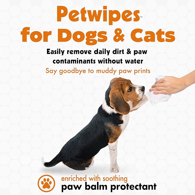 Petkin Big N' Thick Paw Wipes for Dogs, 200 Large Wipes - Clean Dirty Paws After Walks, with Paw Balm Protectant - Keep Floors and Furniture Clean - Ideal for Home or Travel - 2 Packs of 100 Wipes