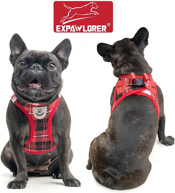 EXPAWLORER Classic Plaid Puppy Harness - Small Dog Harness and Leash Set - Dog Collar and Leash Set with AirTag Holder, Soft Padded Step in Dog Vest Harness No Pull Reflective for Outdoor, Red L