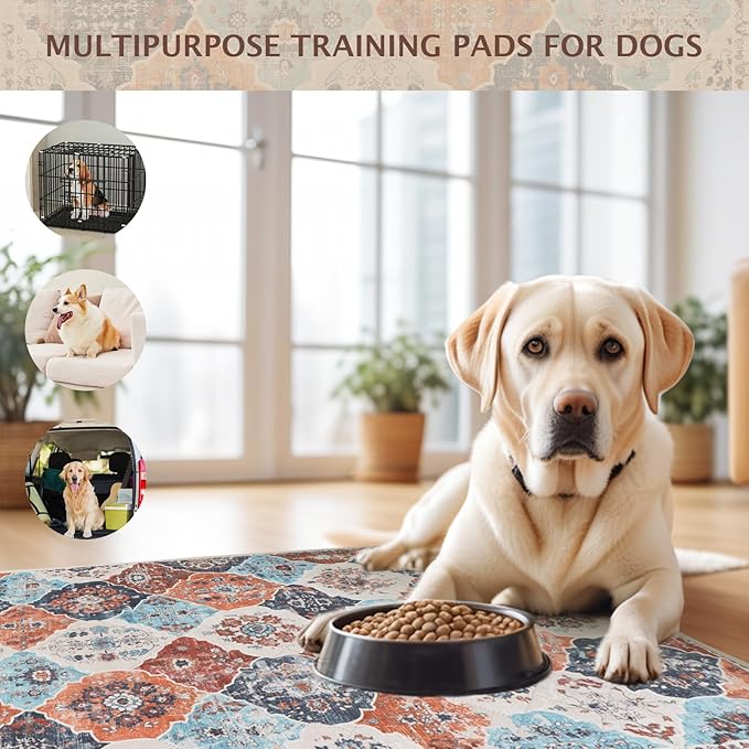 IEUUMLER Washable Pee Pads for Dogs, 1 Pack Reusable Pee Pads for Dogs Non-Slip Grip, Super Absorbent Waterproof Puppy Pads for Potty Training, Playpen, Crate, Whelping Box EU011 (Orange,71" x 71")