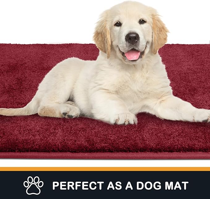 PURRUGS Dirt Trapping Door Mat 24" x 35.5", Non-Slip Machine Washable Entryway Rug, Dog Doormat, Indoor Front Door Mat, Super Absorbent Entry Rug for Muddy Shoes & Paws, Burgundy Red