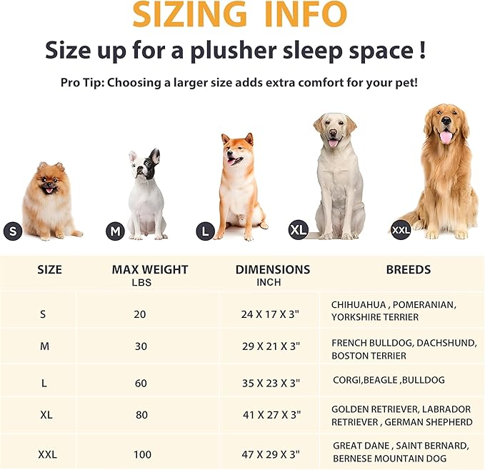 Dog Crate Pad for Medium Dog - 30x20 Memory Foam Dog Bed, Washable & Anti-Slip Dog Bed Mat, Ultra Soft Kennel Pad for Dogs Cozy Sleeping Mat, Grey