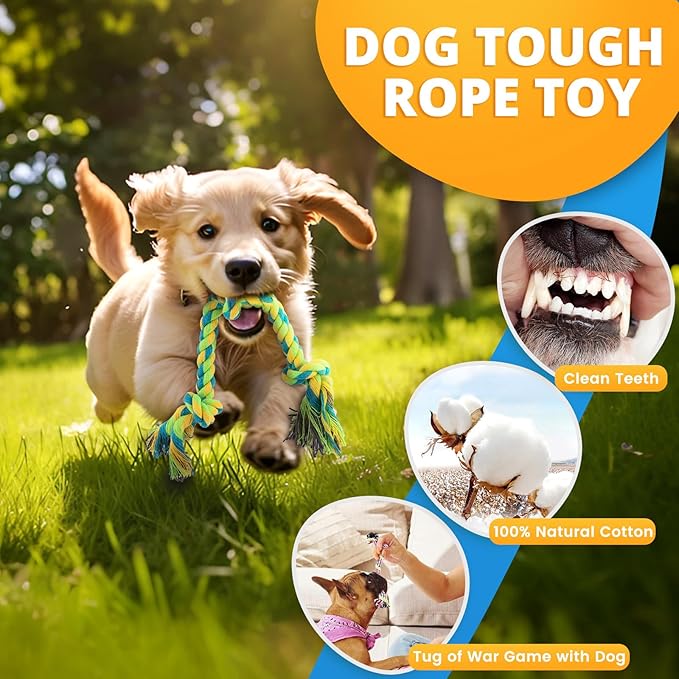 LOYEE 8 Pack Puppy Toysfor Small Dogs, Luxury Dog Chew Toys with Squeaky Plush Toys, Rope Toys and Ball, Teething Toys for Puppy Supplies