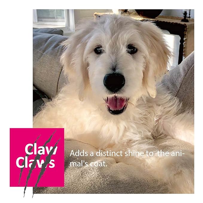Claw Claws Pet Slicker Brush for Large Dogs, Wooden Handle with Stainless Steel Soft Pins, Gently Remove Tangled, Loose Undercoat and Mats Hair, Pet Grooming Brush Tool (8"), Wool Needle Felting Brush