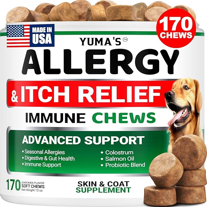 Dog Allergy Relief Chews - Dog Itching Skin Relief Treatment Pills - 170 Treats - Anti-Itch Chewables - Itchy and Paw Licking - Hot Spots - Omega 3 Fish Oil - Dry Skin & Coat Supplement