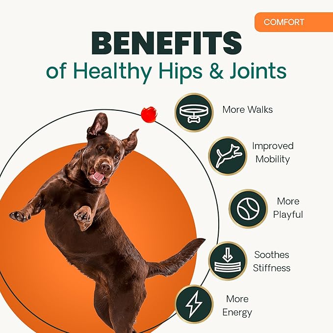 VetriScience Ultimate Strength Hip & Joint Supplement for Dogs, GlycoFlex Plus – MSM, Chondroitin & Green-Lipped Mussel Chews for Mobility, Flexibility, Comfort & Support, Duck Flavor, 120 Cnt