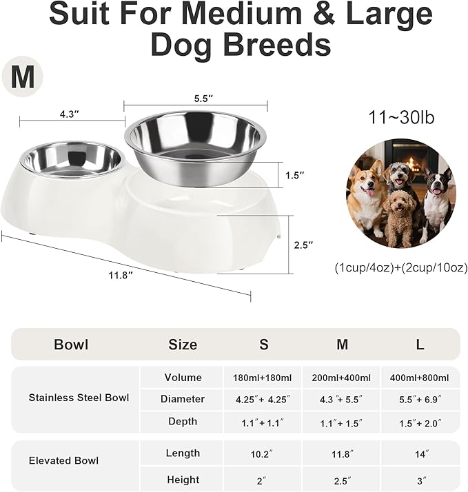 PetVillage Double Dog Bowls Set – Non-Slip Pet Food & Water Dishes with Resin Stand, Includes Small (1 Cup) & Medium (2 Cups) Bowls – Ideal for Puppies and Cats – White