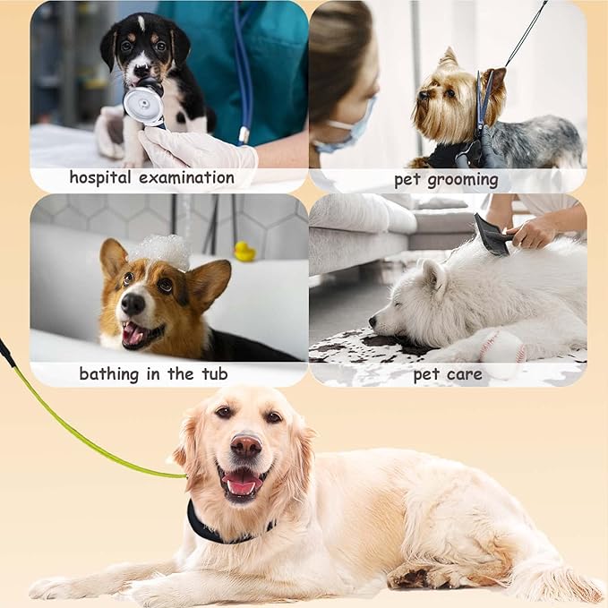 Pet Grooming Loops and Supplies - Dog Belly Loop Restraint No Sit Haunch Holder for Arm and Table, Sturdy Noose Loop for Small Medium Large Dogs
