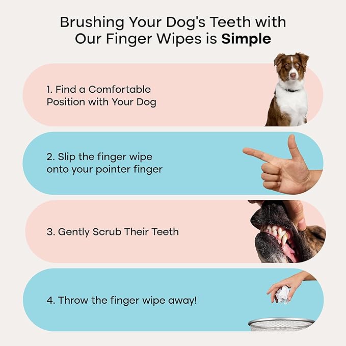 Uproot Clean Pet Dental Finger Wipes for Dogs & Cats (50ct.): Easy & Effective Cat and Dog Teeth Cleaning Wipes - Dog Dental Tissues for Plaque, Tartar, & Bad Breath - Safe, Rinse-Free, Disposable