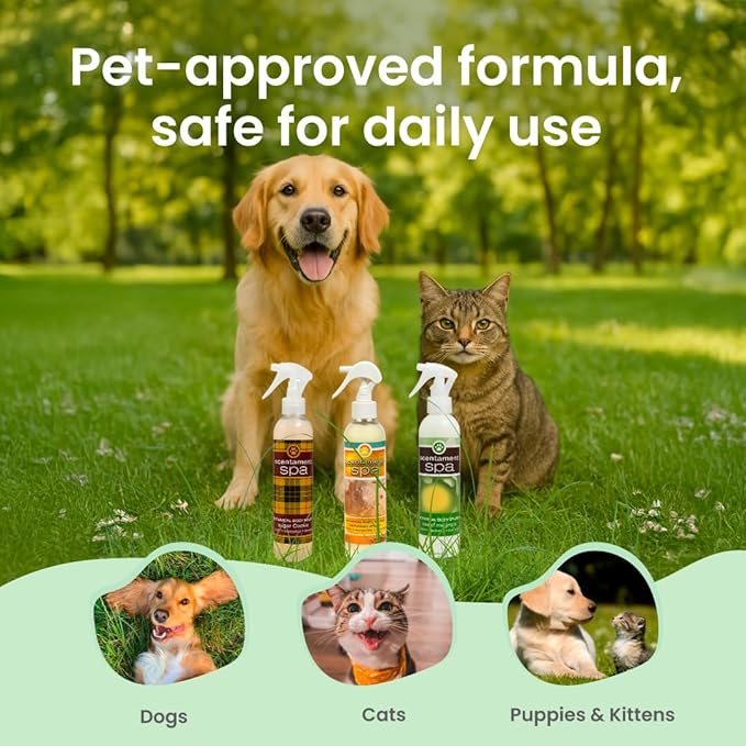 Best Shot Scentament Spa Botanical Body Splash, Pet Spray for Dogs & Cats, Conditioning Body Spray with Apricot Lily Scent, Gentle Grooming Finishing Mist, 8 fl oz