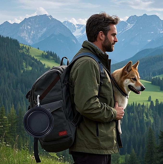 Dog Bowl Pet Collapsible Bowls, 2 Pack Collapsible Dog Water Bowls for Cats Dogs, Portable Pet Feeding Watering Dish for Walking Parking Traveling with 2 Carabiners (Black+Black, Medium)