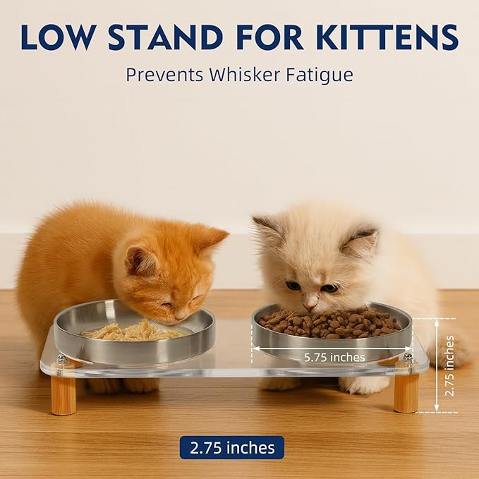 Elevated Cat Bowls for Indoor Cats – Clear Acrylic Cat Food Table with 2 Stainless Steel Dishes, Adjustable Height (4.05"/2.87"), Set of 1
