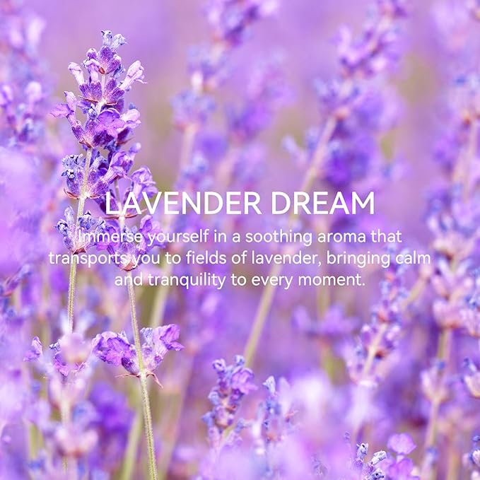 MYARO 20 Packs Fresh Lavender Scent Air Freshener for Drawer and Closet Long Lasting Sachets Bags Drawer Odor Deodorizers Home Car Fragrance